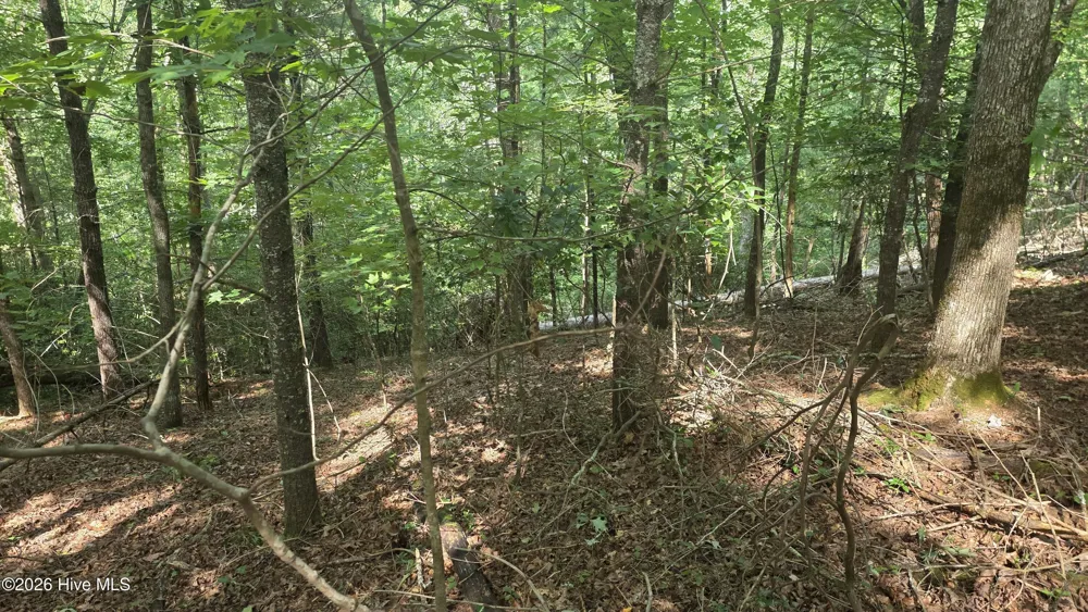 Lot 9 Peachtree Hills Lane Murphy, NC 28906