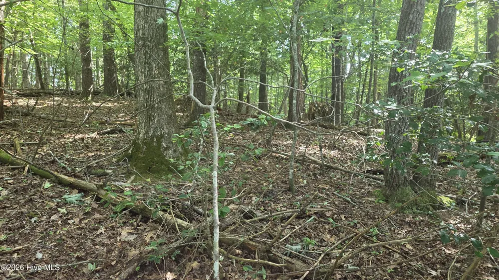 Lot 9 Peachtree Hills Lane Murphy, NC 28906