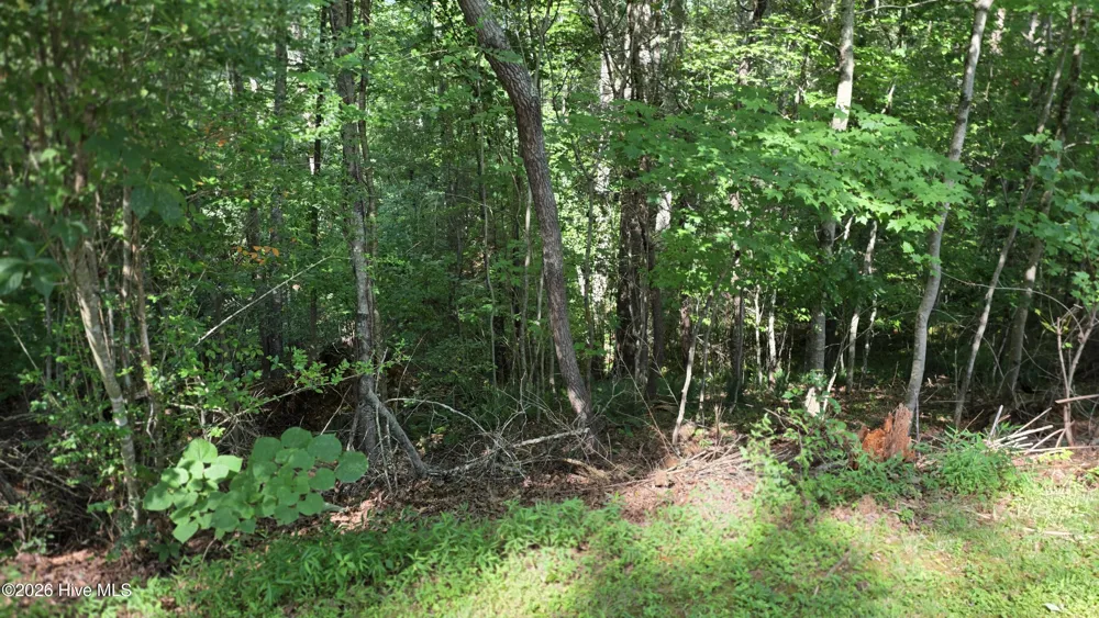 Lot 9 Peachtree Hills Lane Murphy, NC 28906