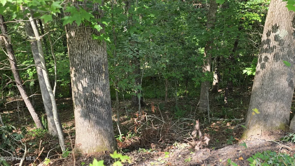 Lot 9 Peachtree Hills Lane Murphy, NC 28906