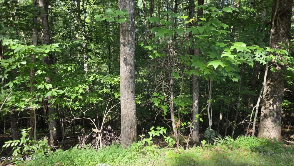 Lot 9 Peachtree Hills Lane Murphy, NC 28906