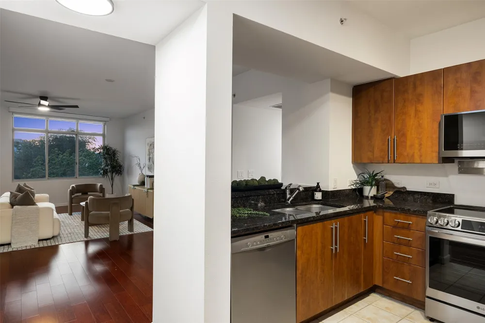 54 Rainey Street #502 Austin, TX 78701