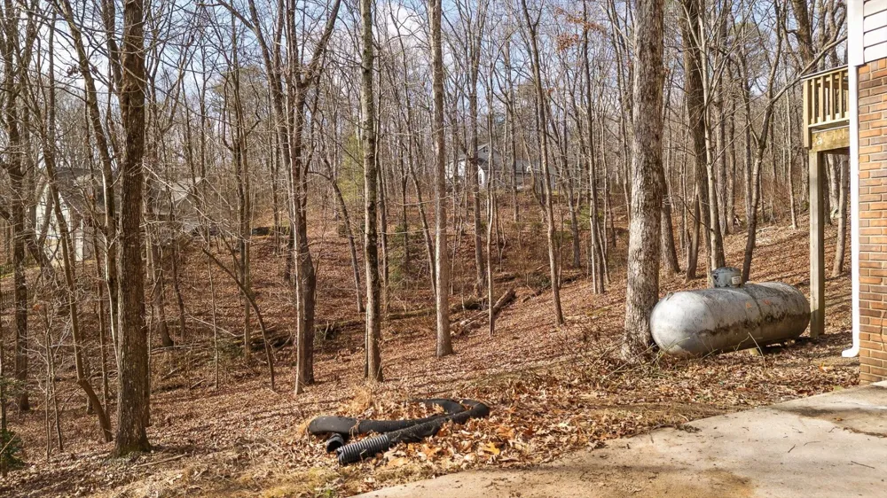 4715 Creek Point Lane Signal Mountain, TN 37377