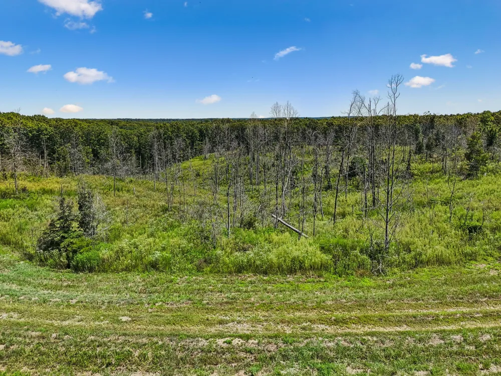 0 Highway 230 Waverly, TN 37185