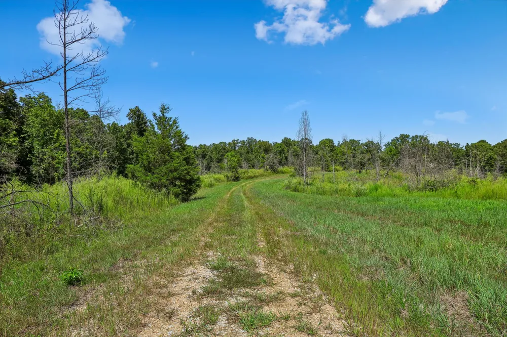 0 Highway 230 Waverly, TN 37185