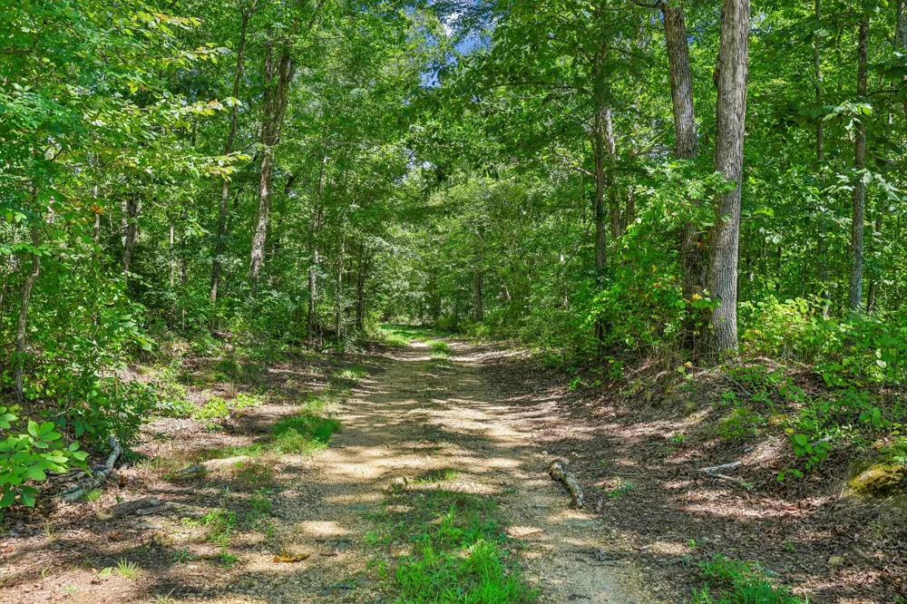0 Highway 230 Waverly, TN 37185