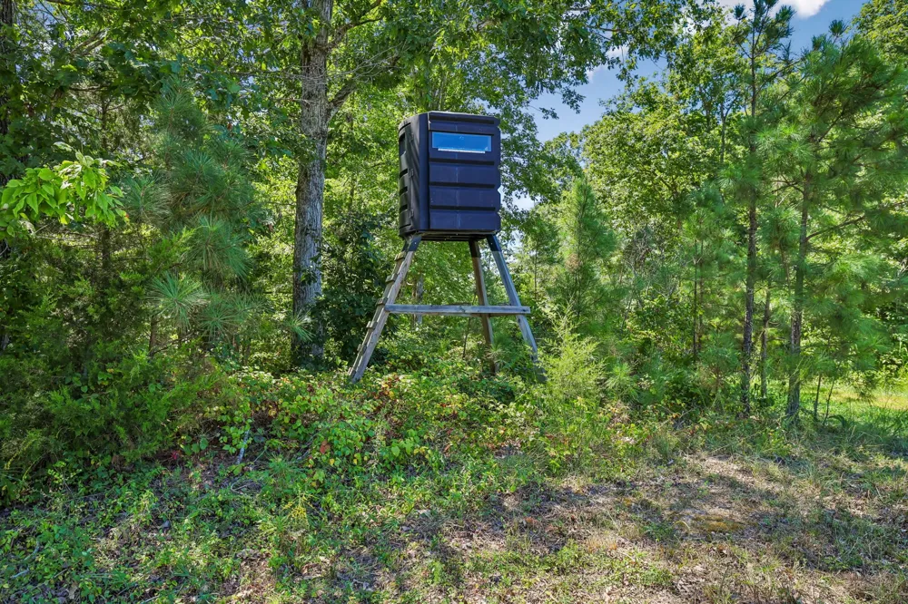 0 Highway 230 Waverly, TN 37185