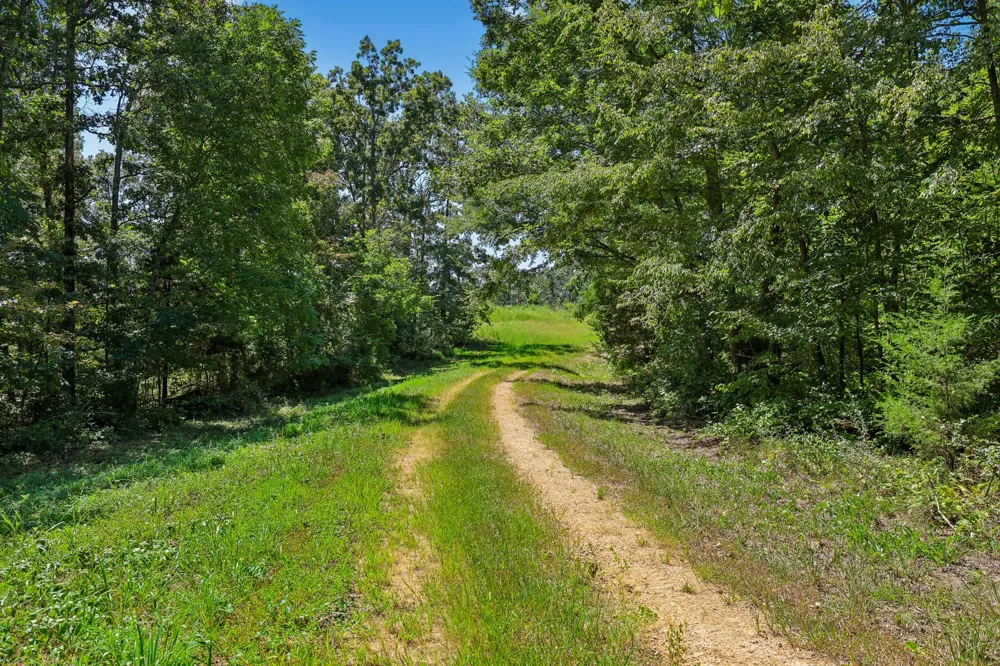 0 Highway 230 Waverly, TN 37185