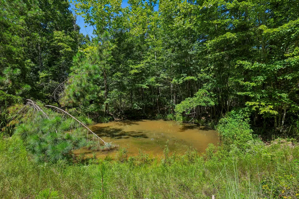 0 Highway 230 Waverly, TN 37185