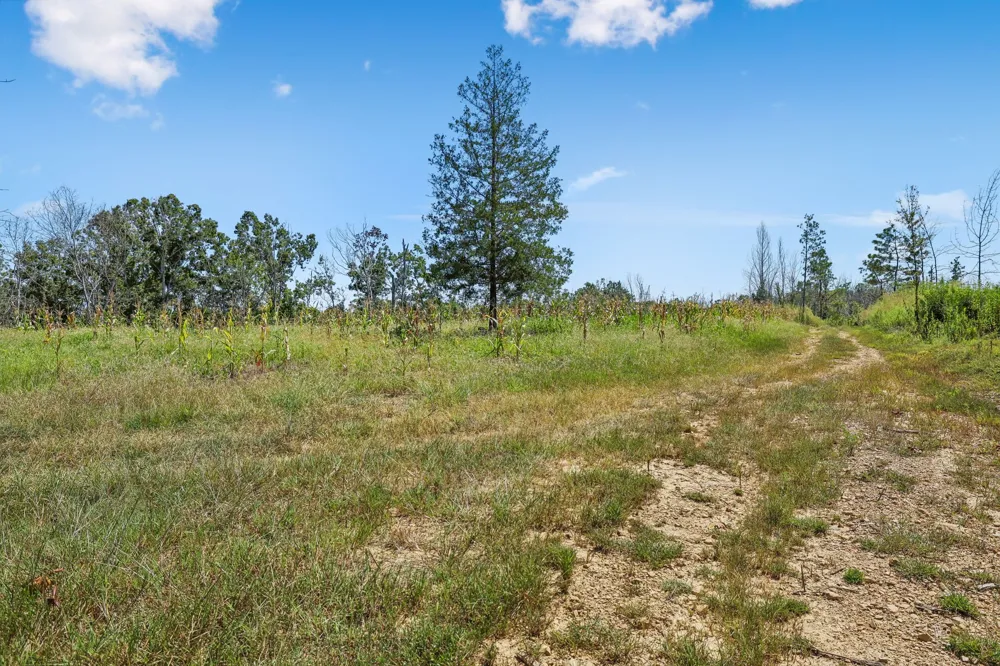 0 Highway 230 Waverly, TN 37185