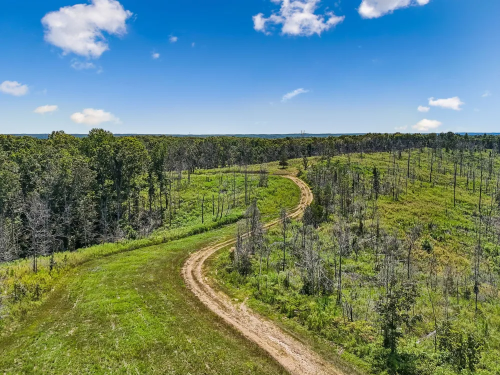 0 Highway 230 Waverly, TN 37185