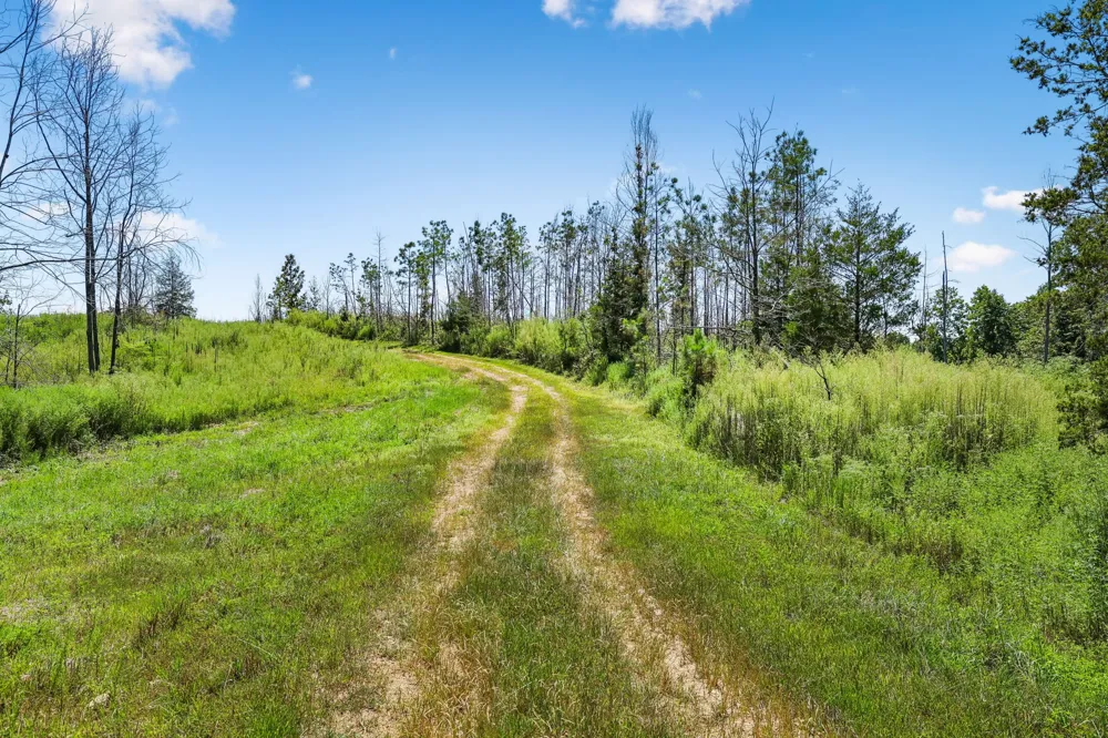 0 Highway 230 Waverly, TN 37185