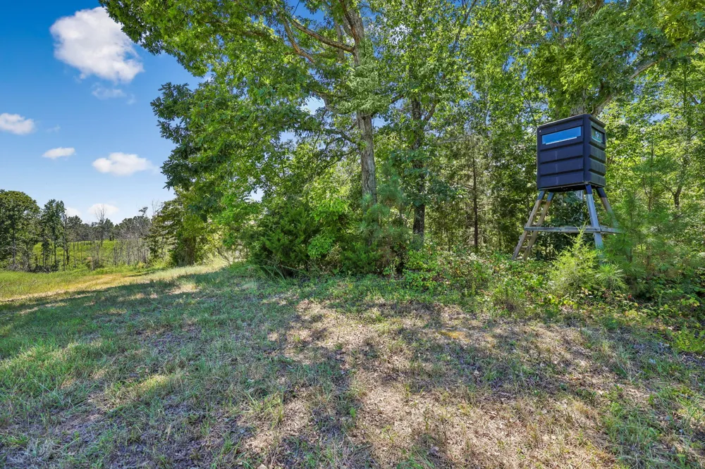 0 Highway 230 Waverly, TN 37185