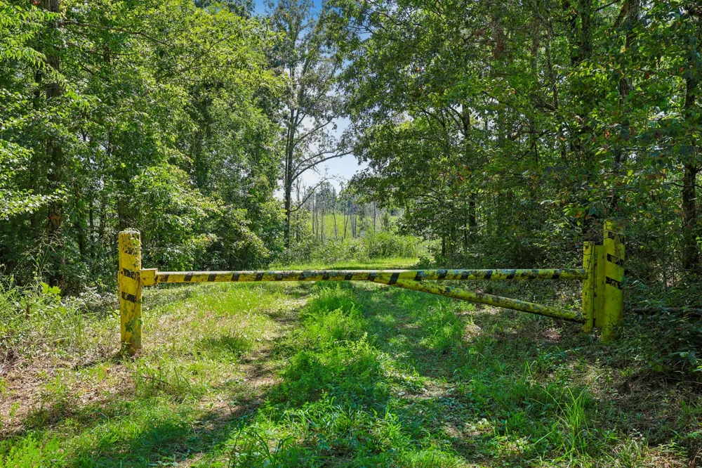 0 Highway 230 Waverly, TN 37185