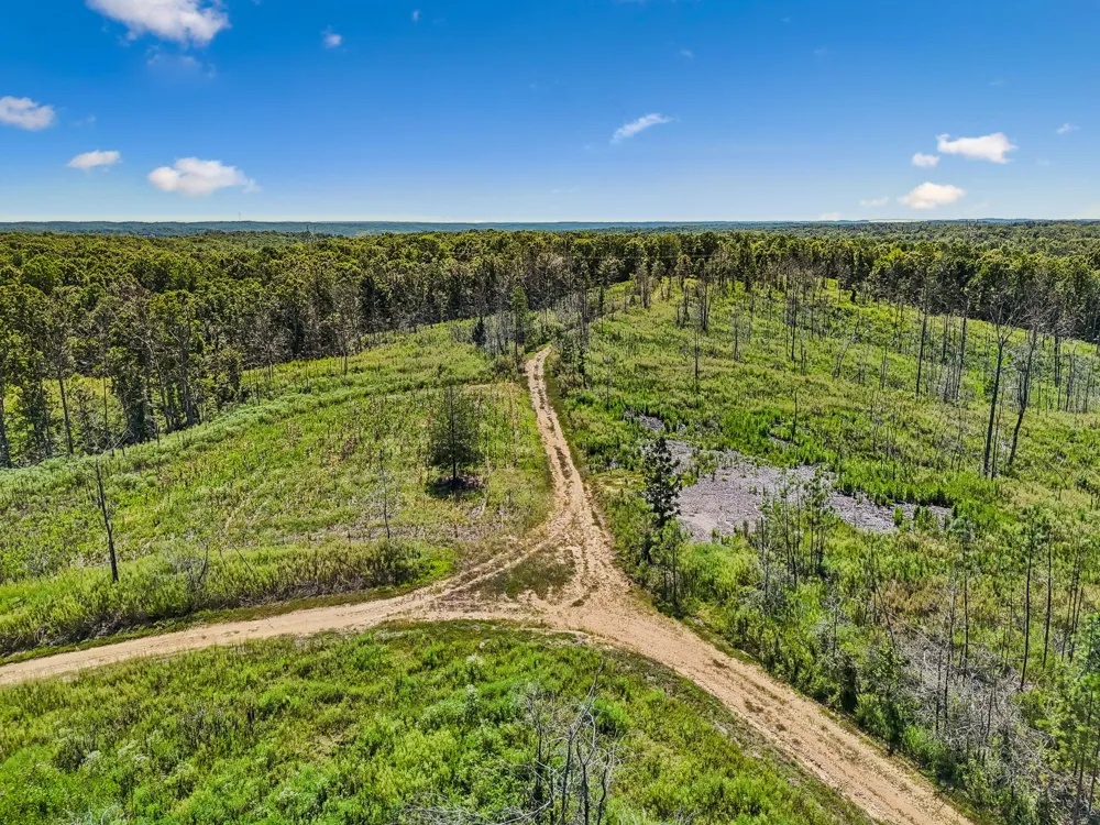 0 Highway 230 Waverly, TN 37185