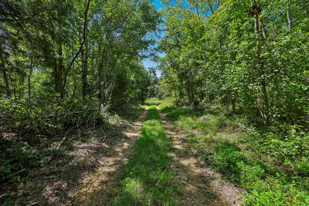 0 Highway 230 Waverly, TN 37185