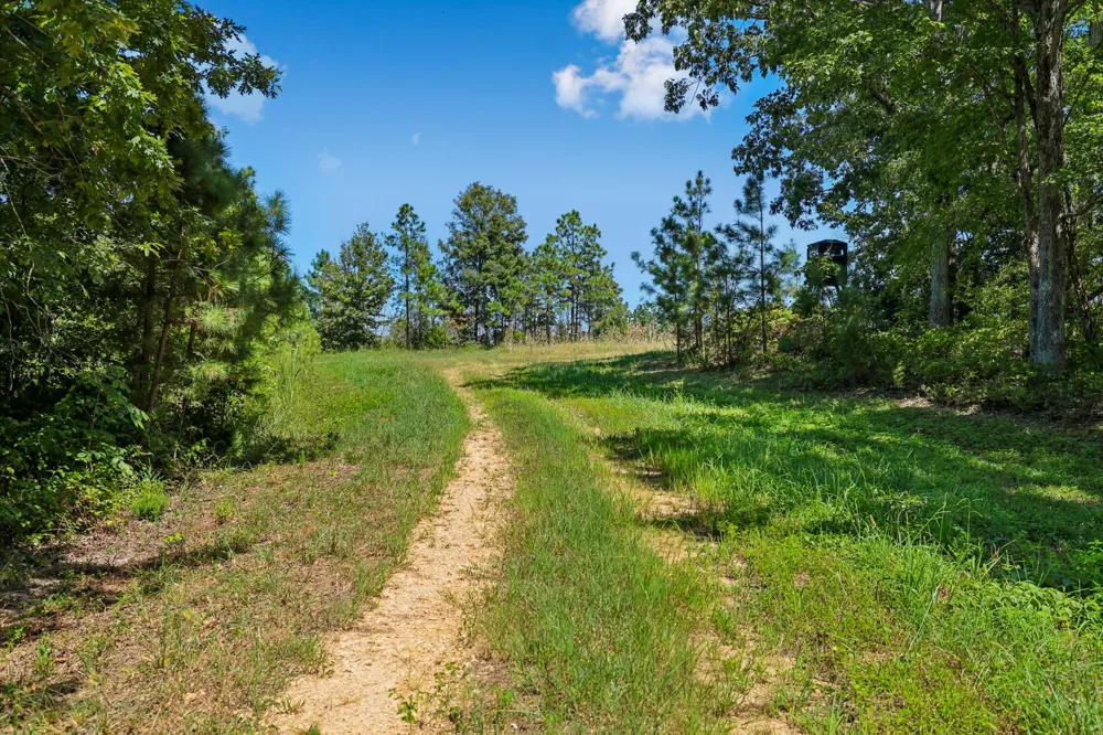 0 Highway 230 Waverly, TN 37185