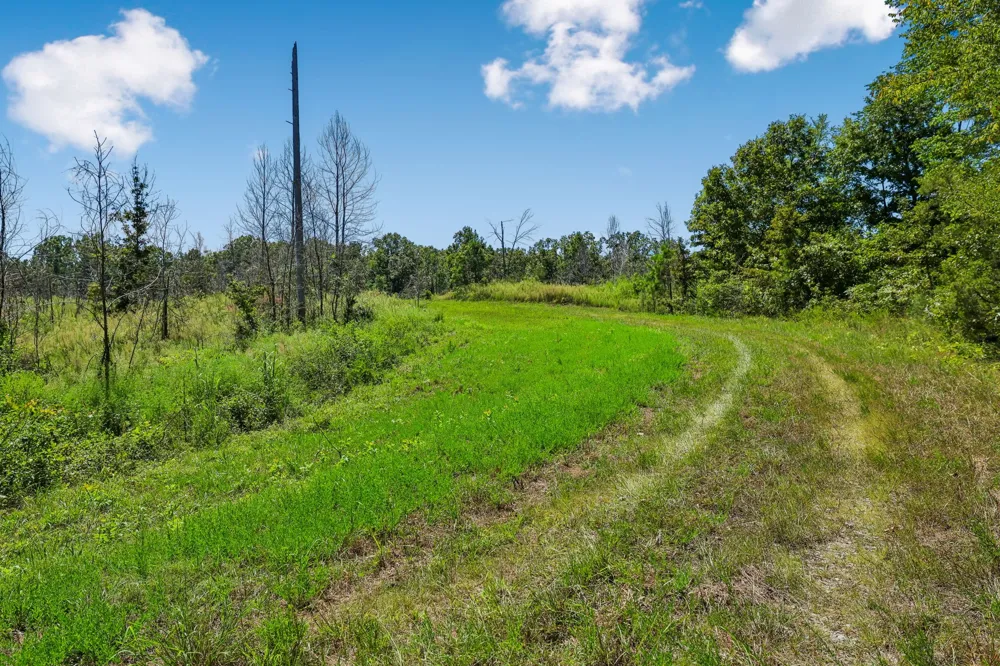 0 Highway 230 Waverly, TN 37185