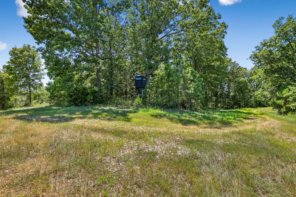 0 Highway 230 Waverly, TN 37185