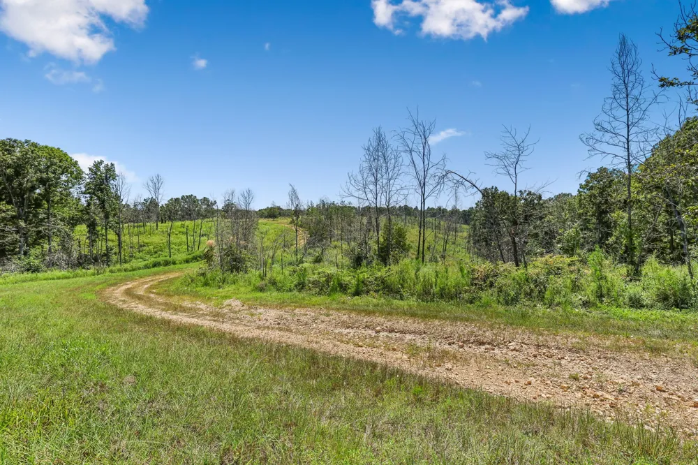 0 Highway 230 Waverly, TN 37185