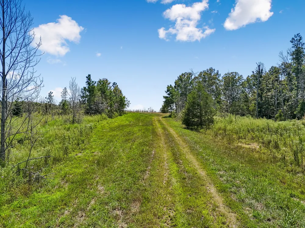 0 Highway 230 Waverly, TN 37185