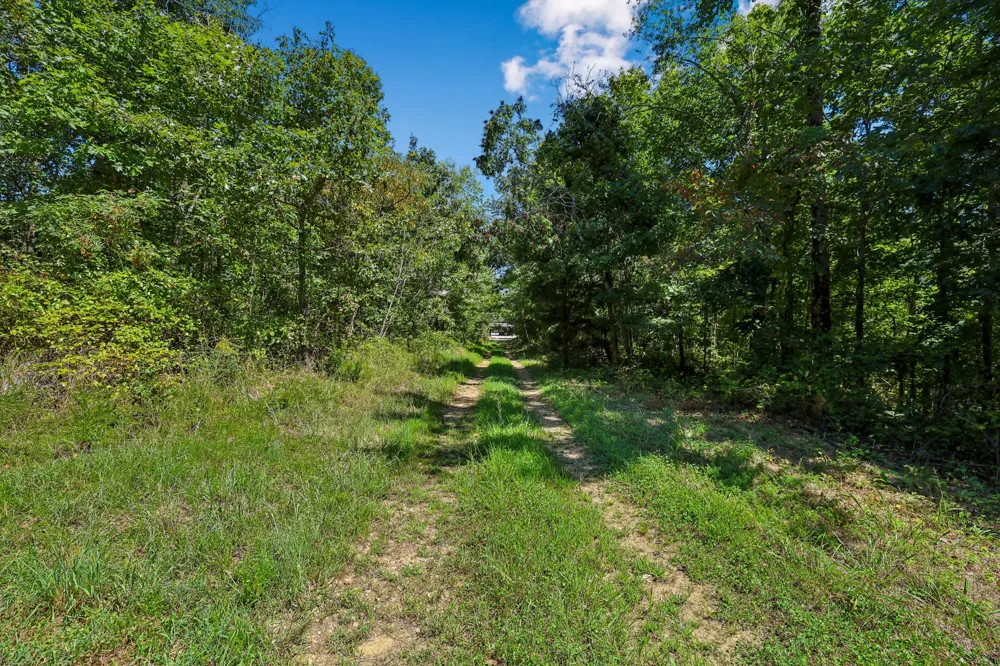 0 Highway 230 Waverly, TN 37185