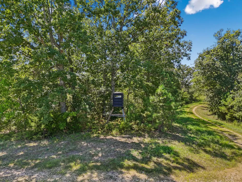 0 Highway 230 Waverly, TN 37185