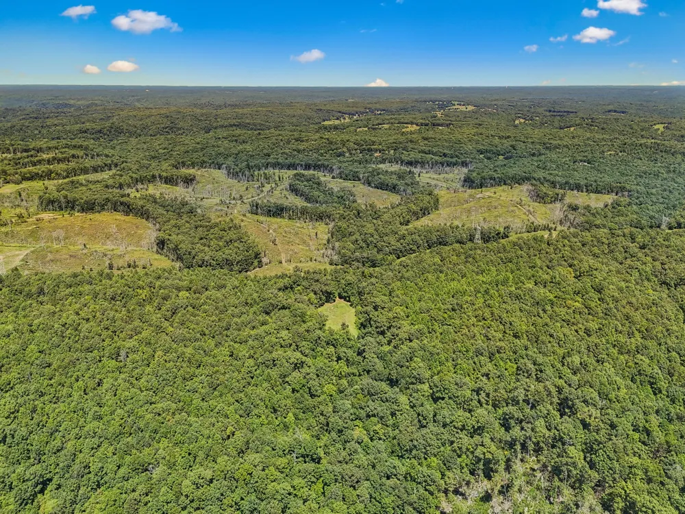 0 Highway 230 Waverly, TN 37185
