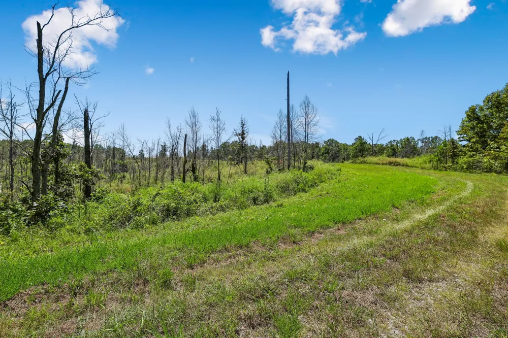 0 Highway 230 Waverly, TN 37185