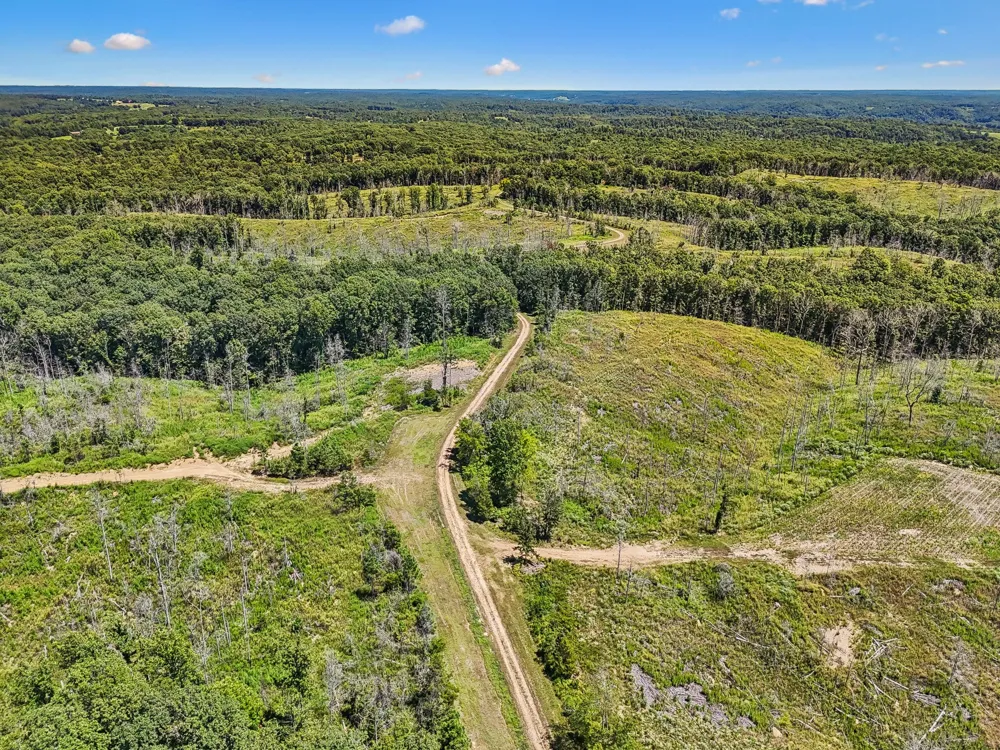 0 Highway 230 Waverly, TN 37185