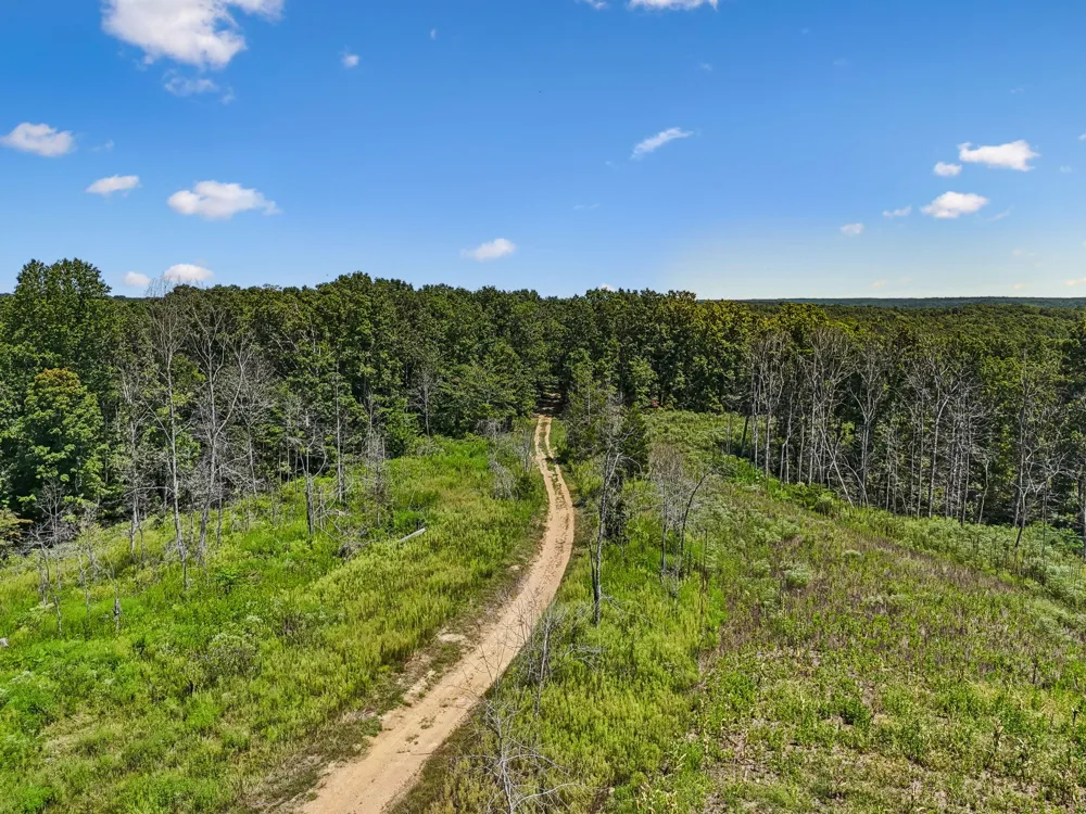0 Highway 230 Waverly, TN 37185