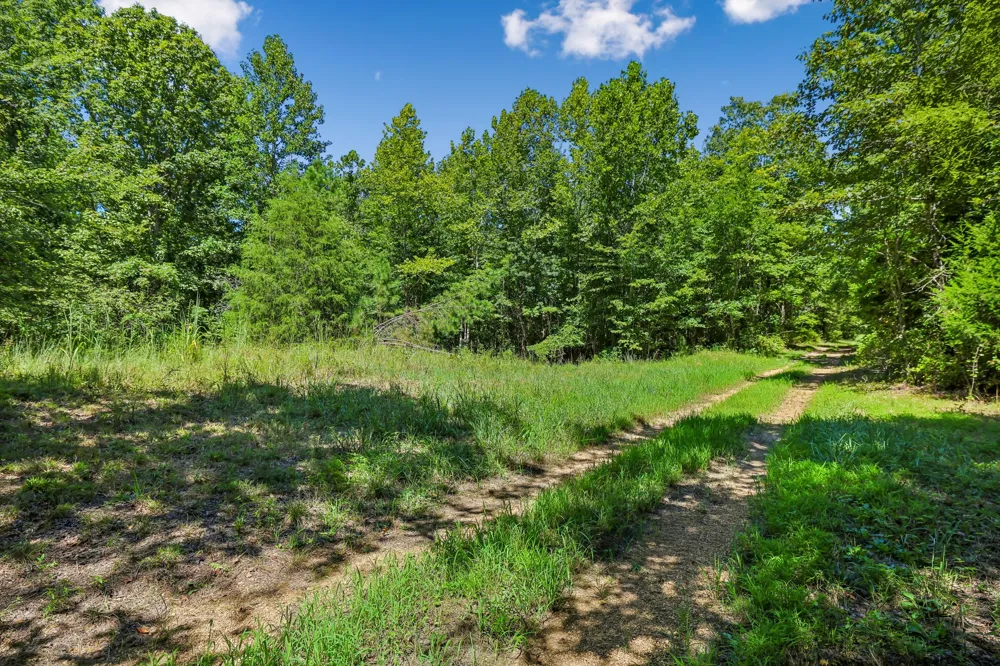 0 Highway 230 Waverly, TN 37185
