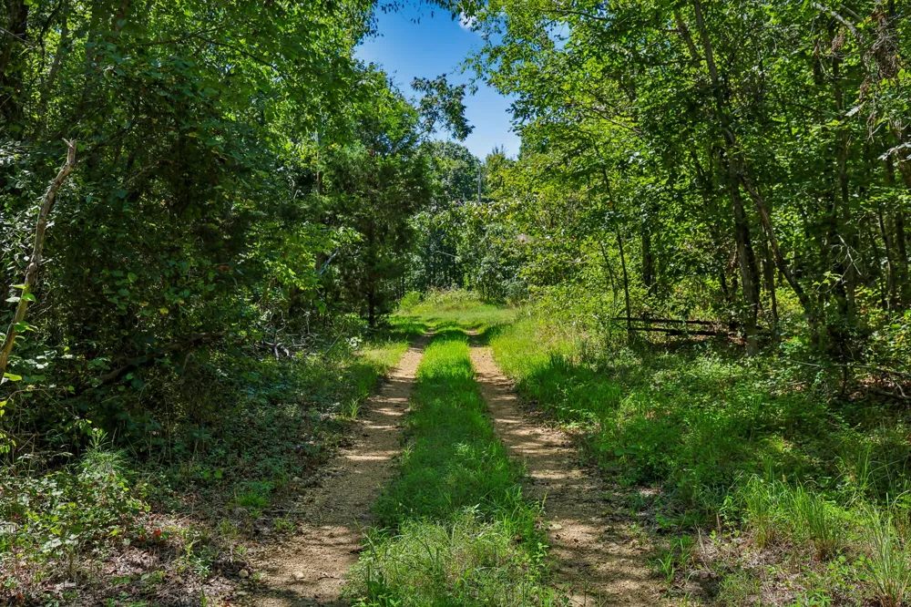 0 Highway 230 Waverly, TN 37185