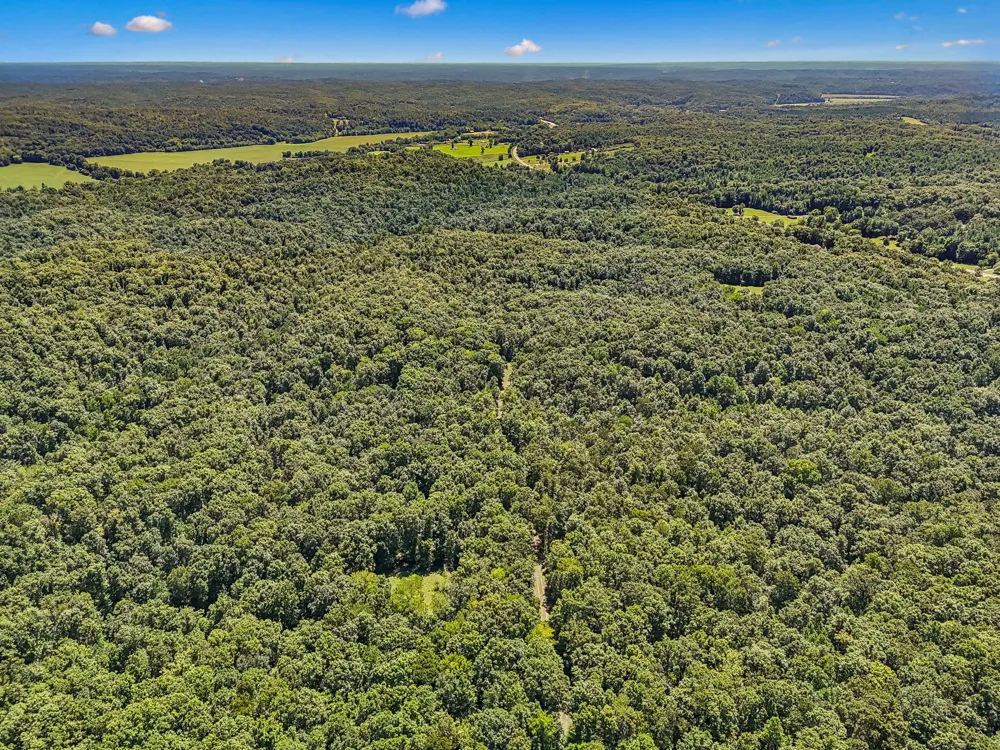 0 Highway 230 Waverly, TN 37185