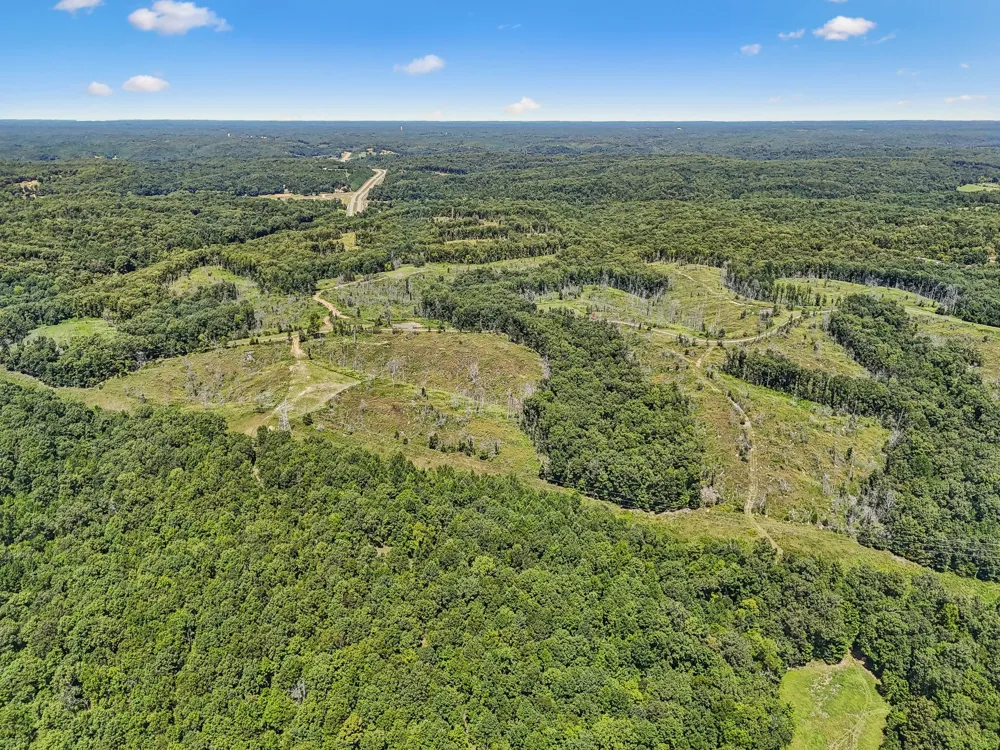 0 Highway 230 Waverly, TN 37185