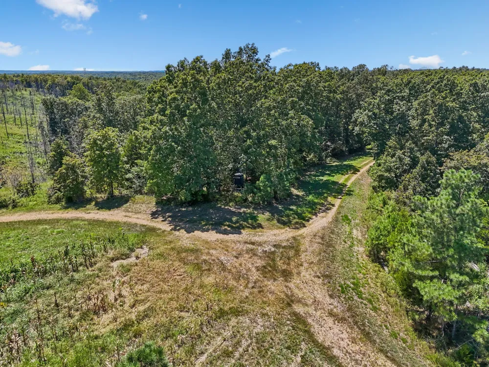 0 Highway 230 Waverly, TN 37185