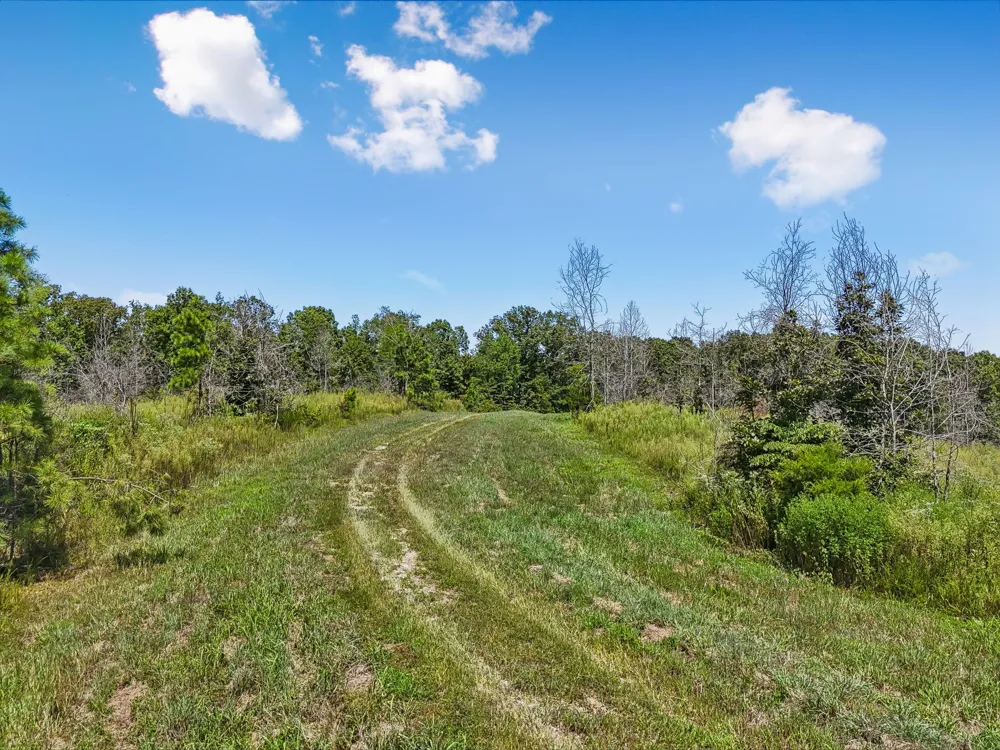 0 Highway 230 Waverly, TN 37185