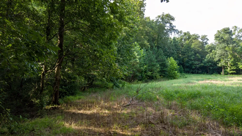 0 Highway 230 Waverly, TN 37185