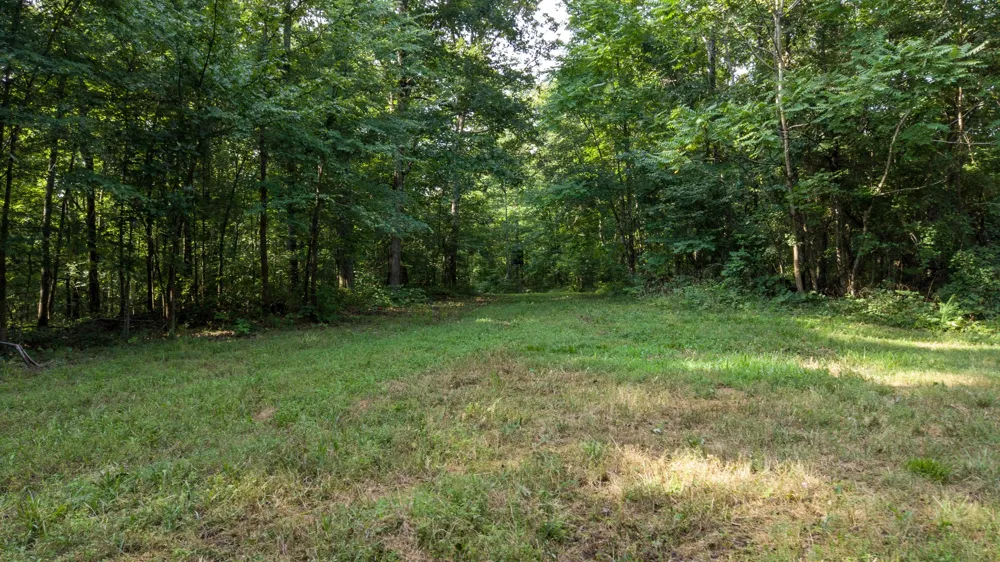 0 Highway 230 Waverly, TN 37185