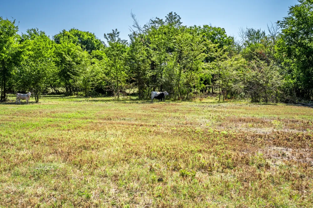229 County Road 4733 Cumby, TX 75433