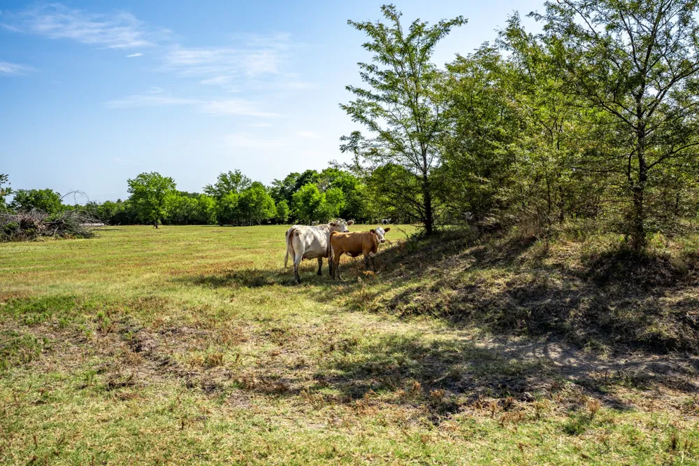 229 County Road 4733 Cumby, TX 75433