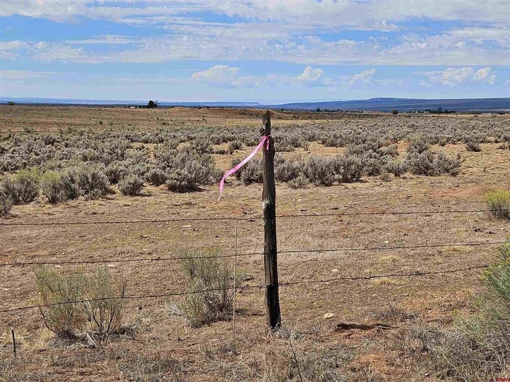County Road 130 Hesperus, CO 81326