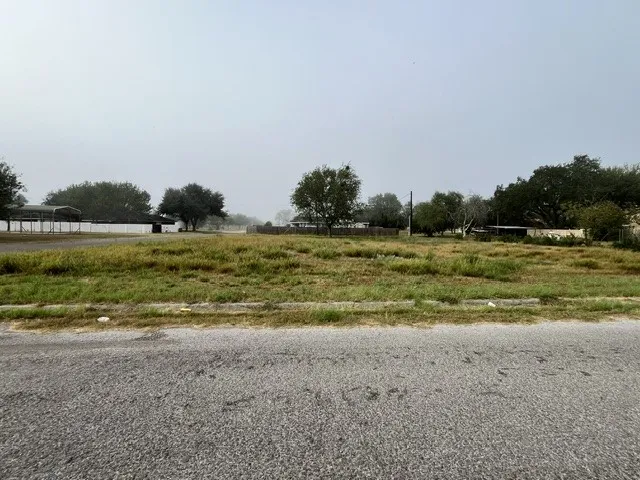 1101 W Viggo Street Hebbronville, TX 78361