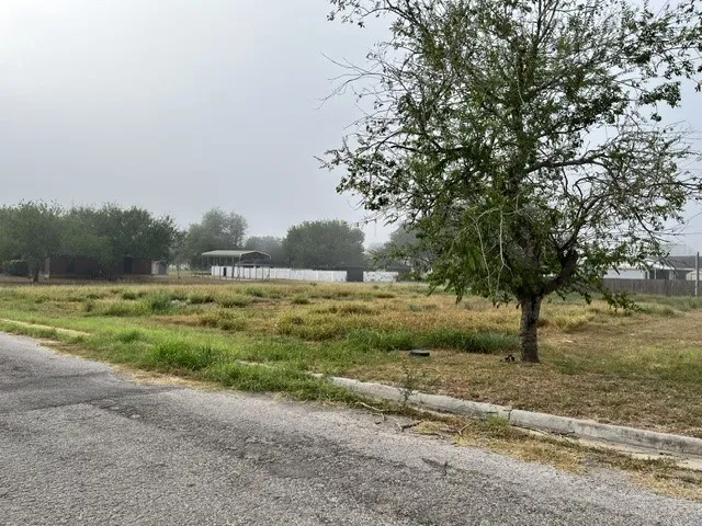1101 W Viggo Street Hebbronville, TX 78361