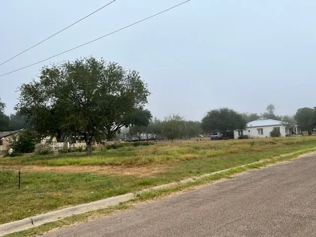 1101 W Viggo Street Hebbronville, TX 78361