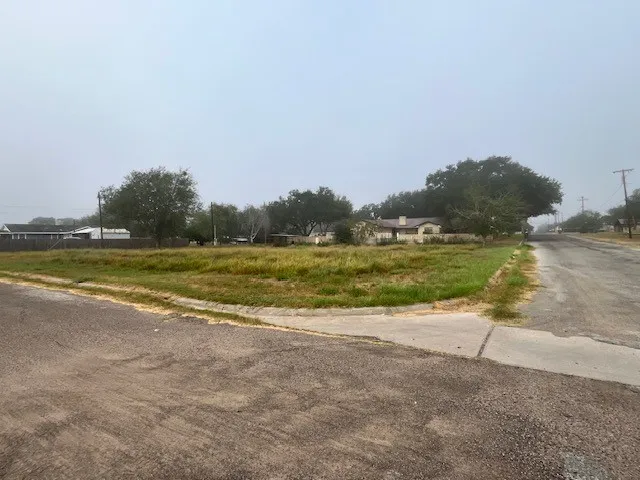 1101 W Viggo Street Hebbronville, TX 78361