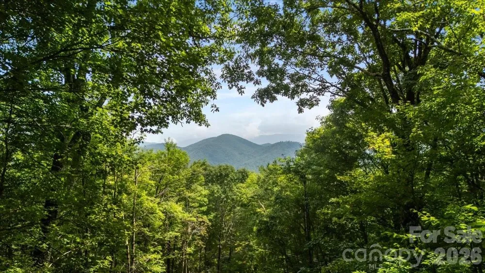 67 Birch Springs Lane #218 Mars Hill, NC 28754