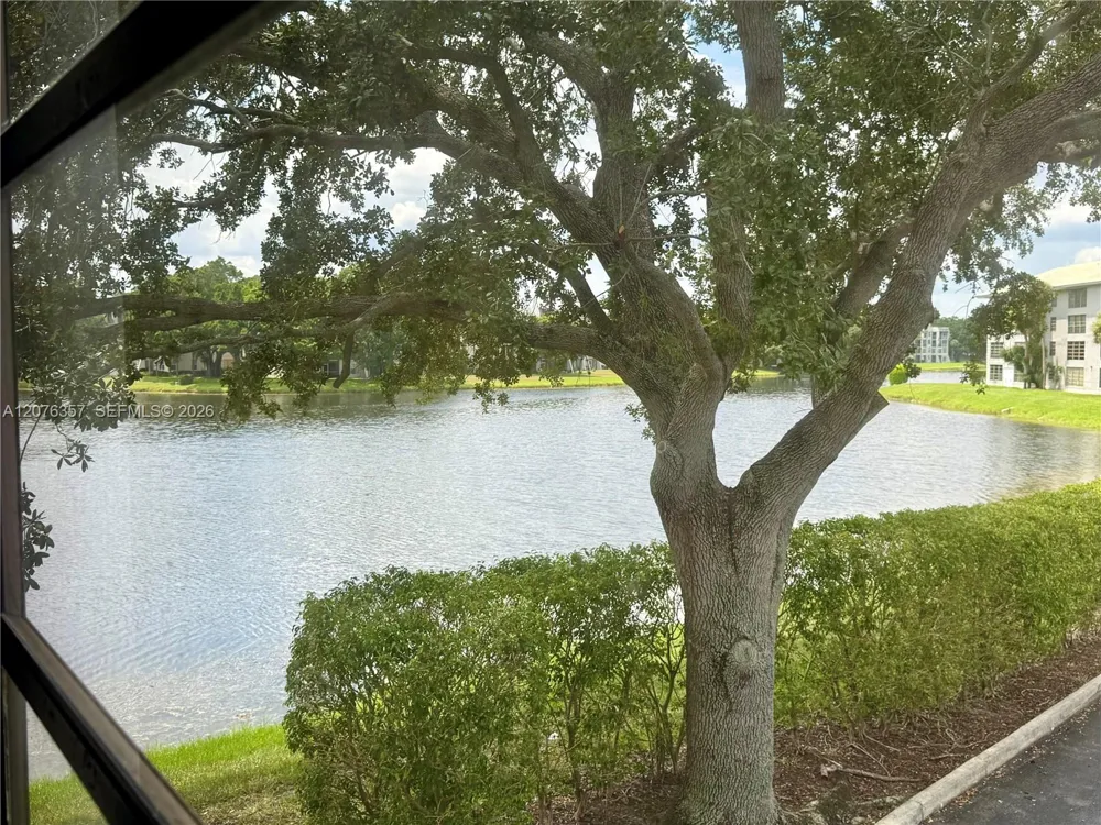 1520 Whitehall Dr #206 Davie, FL 33324