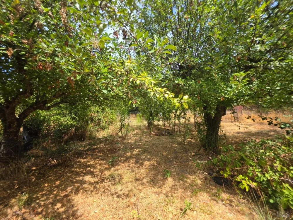 24135 Agency Road Covelo, CA 95428