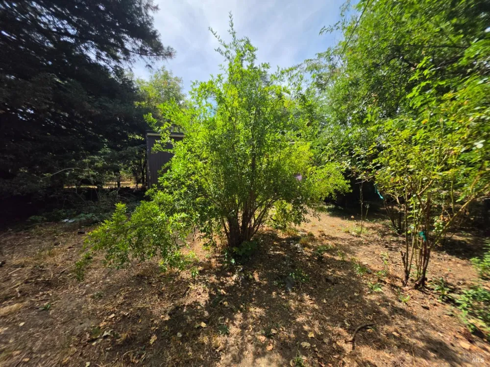 24135 Agency Road Covelo, CA 95428
